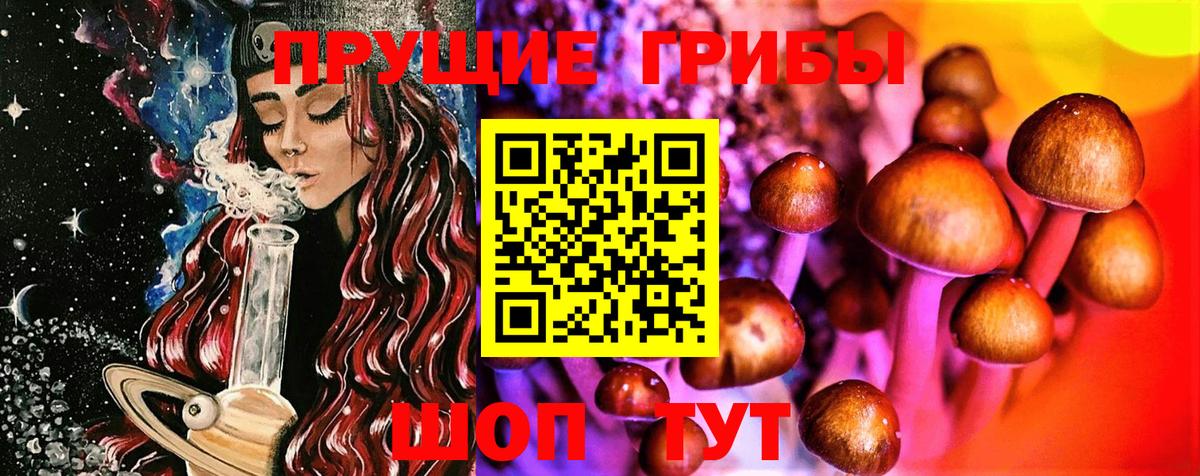 Алейск  Галлюциногенные грибы мухоморы  Вход с VPN 
